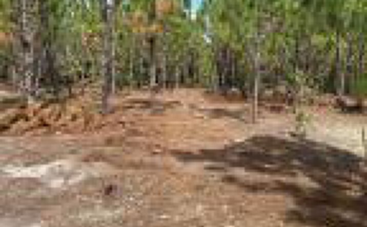 Pictures of Land property located at Ppf 11 Payne Pond Road, Kershaw, SC 29067 for sales - image #1