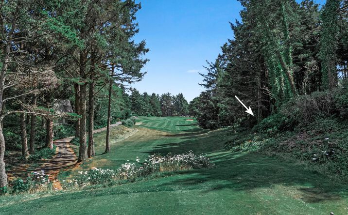 Pictures of Land property located at 17 Ocean Crest Lane, Gleneden Beach, OR 97388 for sales - image #1