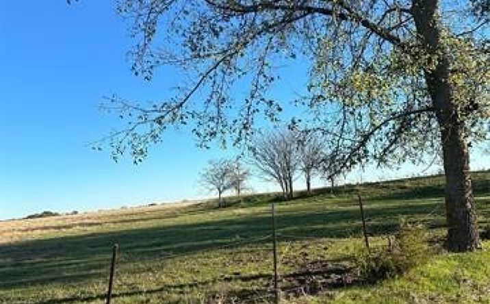 Pictures of Land property located at Caney, Calera, OK 74730 for sales - image #1