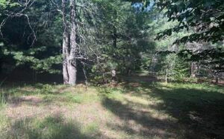Pictures of Land, Office property located at 375 Ormsbee Rd, Porter Corners, NY 12859 for sales - image #1
