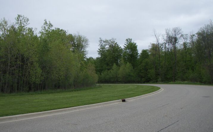 Pictures of Land property located at Eyde Pkwy, East Lansing, MI 48823 for sales - image #1