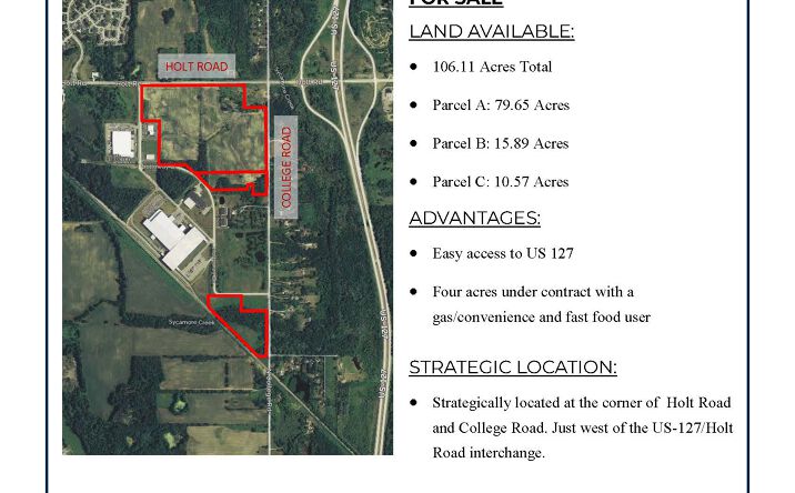 Pictures of Land property located at Holt Rd, Holt, MI 48911 for sales - image #1