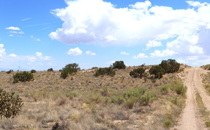 Pictures of Land, Mixed Use property located at Rio Rancho Estates Lot 20 SW, Rio Rancho, NM 87124 for sales - image #1