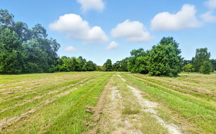 Pictures of Land property located at 19375 Highway 321, Cleveland, TX 77327 for sales - image #1