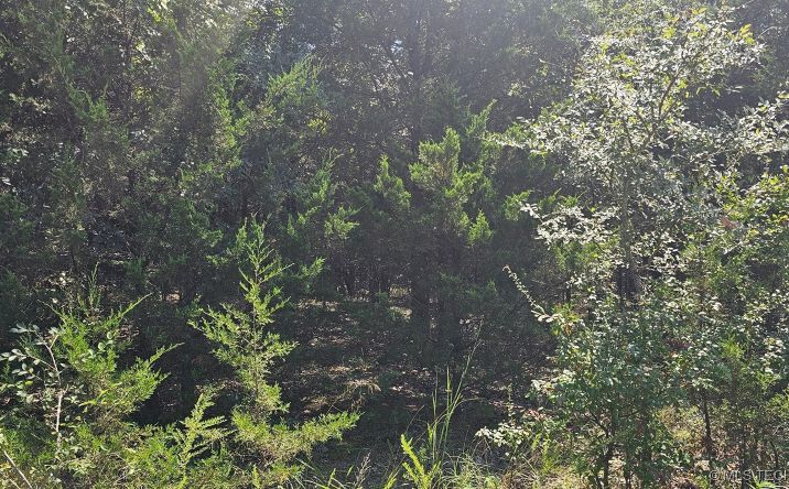 Pictures of Land property located at Bootleg, Gore, OK 74435 for sales - image #1