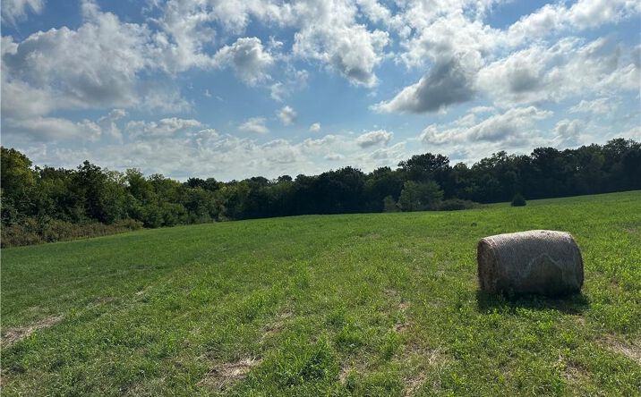Pictures of Land property located at LOT 13 Whitetail Road, Polo, MO 64671 for sales - image #1
