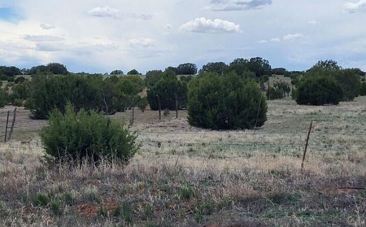 Pictures of Land property located at Bullion Road, Moriarty, NM 87035 for sales - image #1