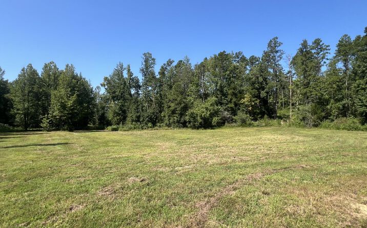 Pictures of Land property located at Arthur Byrd Road, Pocahontas, TN 38061 for sales - image #1