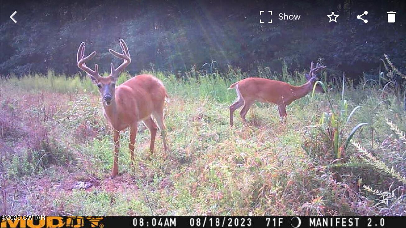 214 Arthur Byrd Road, Pocahontas, TN 38061 | Crexi.com