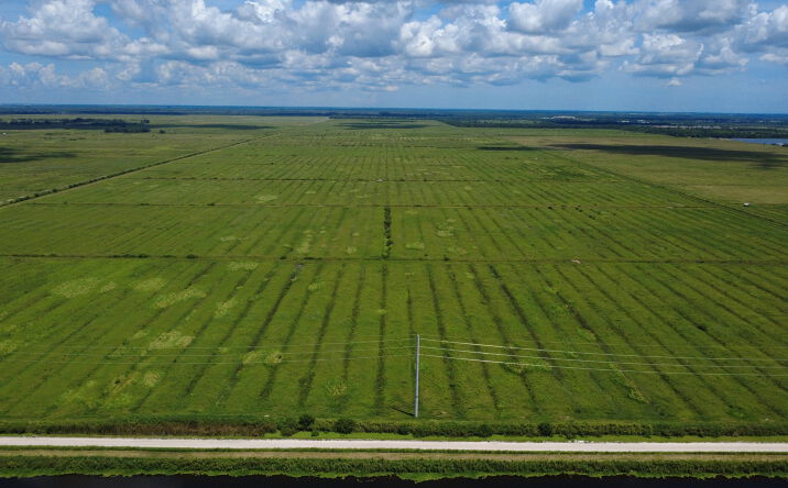 Pictures of Land property located at Oslo Rd, Vero Beach, FL 32966 for sales - image #1
