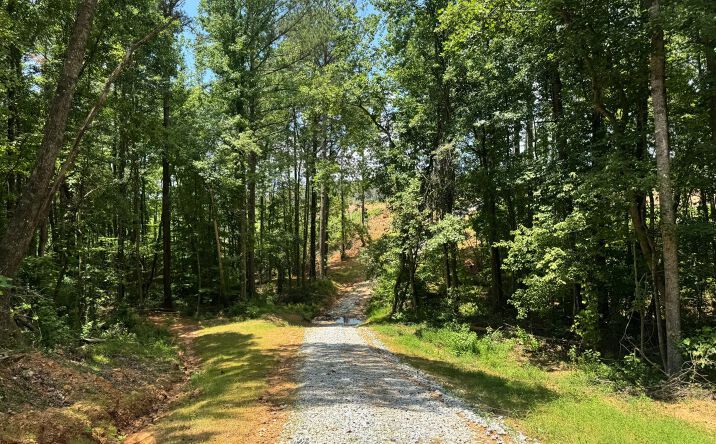 Pictures of Land property located at 319 +/- acres Hwy 100, Franklin, USA 30217 for sales - image #1