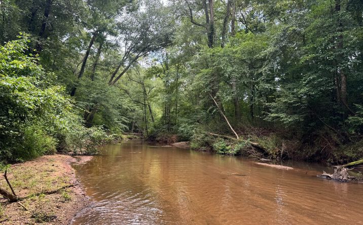 Pictures of Land property located at 180.14 ac Johnson Mill Road, Hamilton, GA 31811 for sales - image #1
