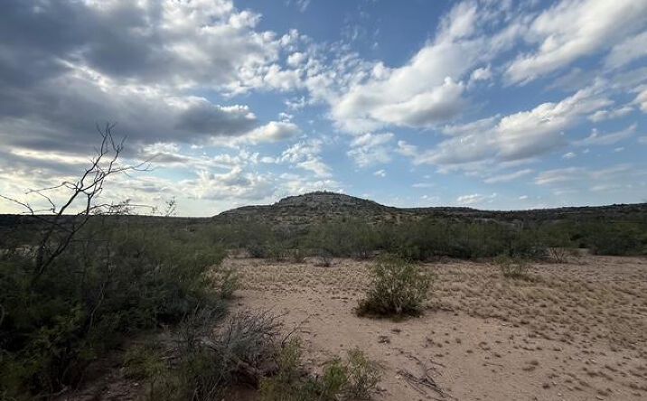 Pictures of Land property located at 0000 Cactus Rose Lane, Ozona, TX 76943 for sales - image #1