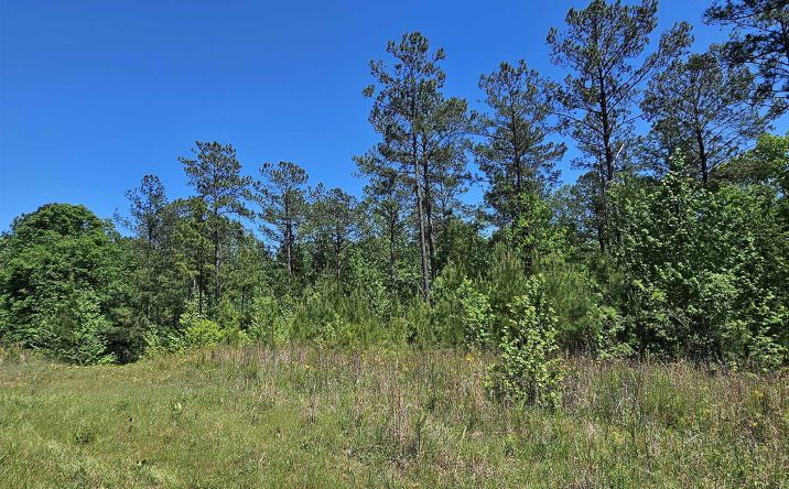 Pictures of Land property located at County Road 454, Clanton, AL 35045 for sales - image #1