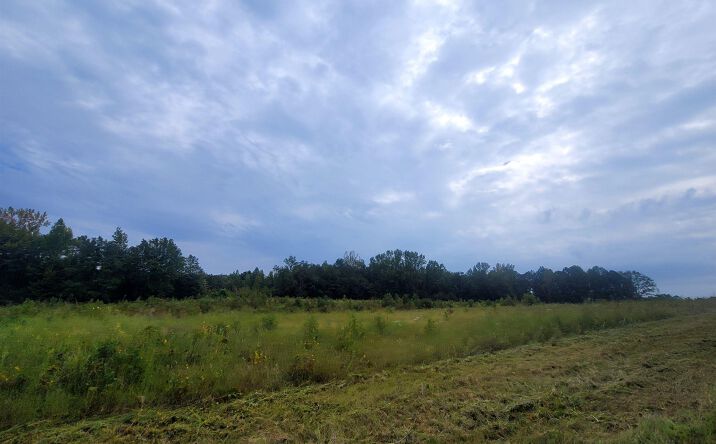 Pictures of Land property located at 4025 Industrial Park Dr, Clanton, AL 35045 for sales - image #1