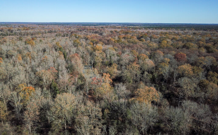 Pictures of Land property located at Arkadelphia 240 acres, Arkadelphia, AR 71923 for sales - image #1