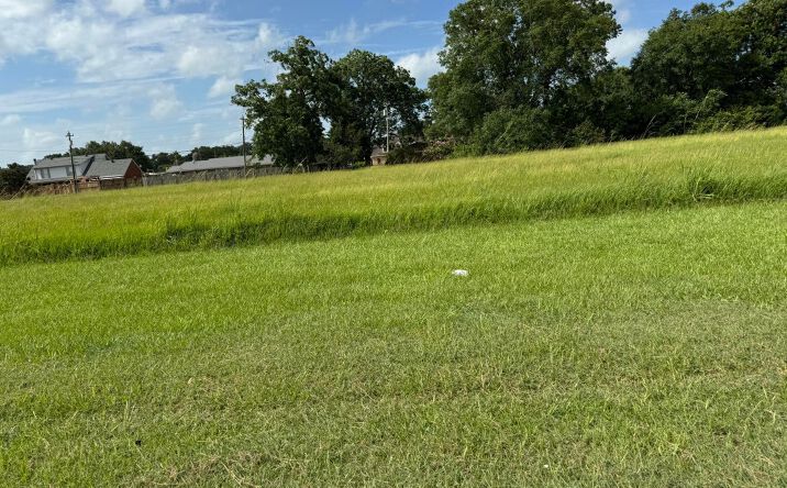 Pictures of Land property located at 711 W Summers Dr, Abbeville, LA 70510 for sales - image #1