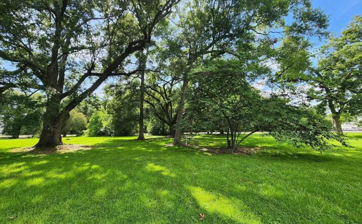 Pictures of Land property located at 1204 US-167, Abbeville, LA 70510 for sales - image #1