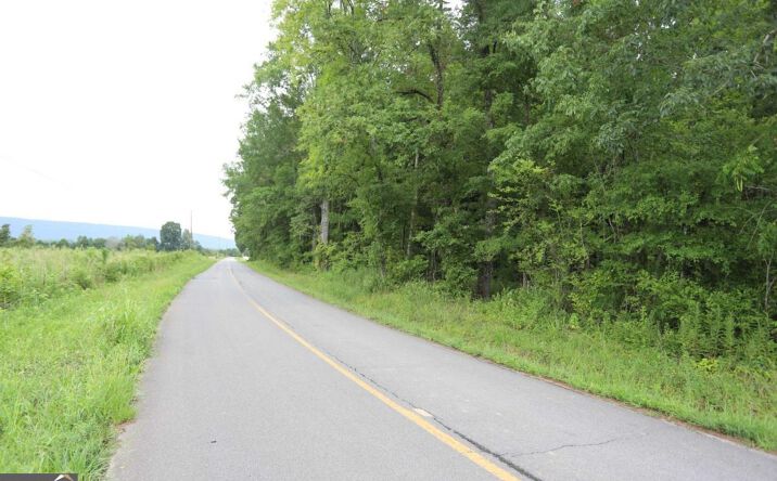 Pictures of Land property located at 0 Sunnydale Road, Menlo, GA 30731 for sales - image #1