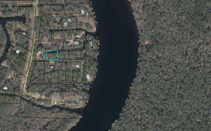 Pictures of Land property located at SE 226th Ave, Old Town, FL 32680 for sales - image #1