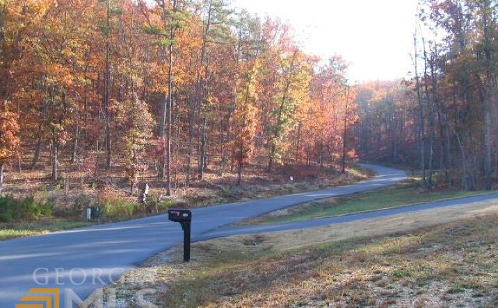 Pictures of Land property located at 0 Autumnwood Drive, Summerville, GA 30747 for sales - image #1