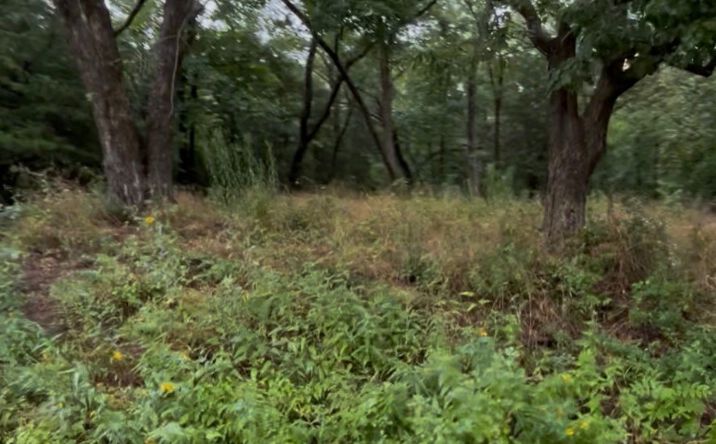 Pictures of Land property located at 1 N Shoreline Drive, Hulbert, OK 74441 for sales - image #1