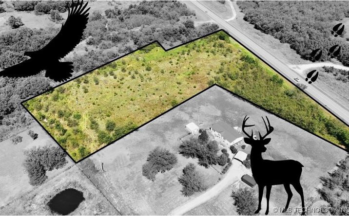 Pictures of Land property located at County Road 1479, Ada, OK 74820 for sales - image #1