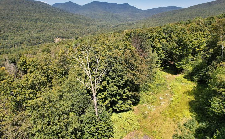 Pictures of Land property located at Tbd Macdaniel Rd, Bearsville, NY 12409 for sales - image #1