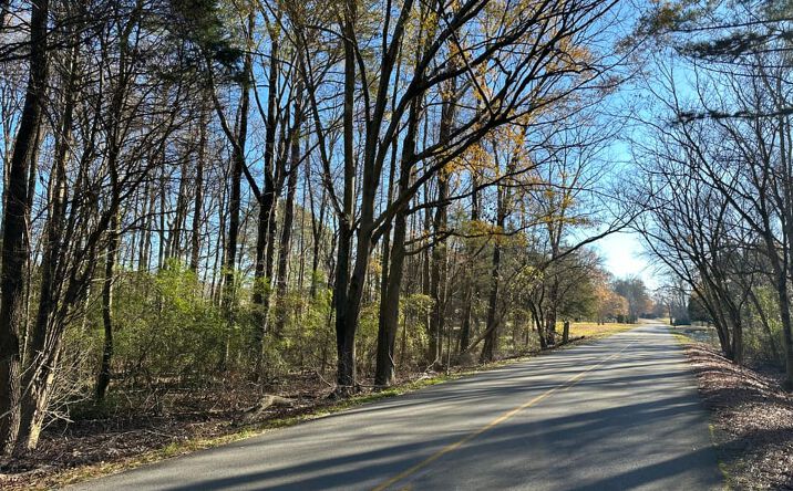 Pictures of Land property located at 000 County Road 236, Hatton, AL 35672 for sales - image #1