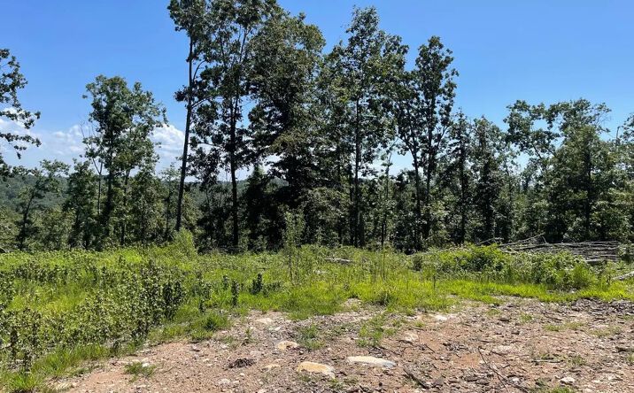Pictures of Land property located at 000 County Road 456, Piedmont, MO 63957 for sales - image #1