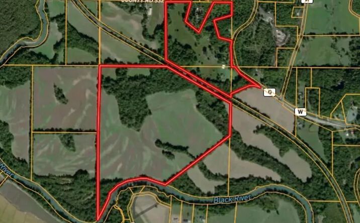 Pictures of Retail, Land property located at 291 Highway O, Rombauer, MO 63901 for sales - image #1