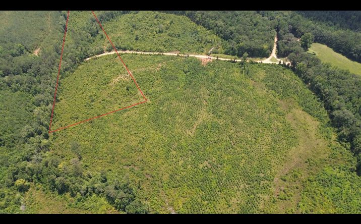 Pictures of Land property located at 000 Cargile Road, Fayette, AL 35555 for sales - image #1
