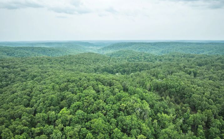 Pictures of Land property located at 319 County Rd, Jadwin, MO 65502 for sales - image #1