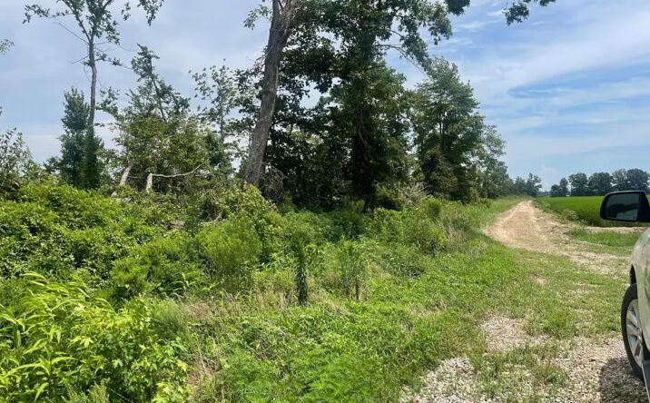 Pictures of Land property located at County Road 315, Poplar Bluff, Missouri, MO 63901 for sales - image #1