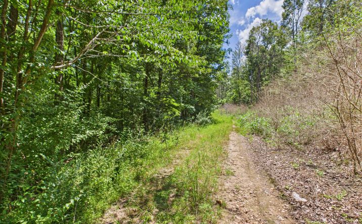 Pictures of Land property located at Lot 142 Crestwood Drive, Wappapello, MO 63966 for sales - image #1