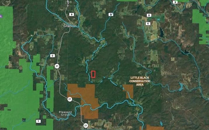 Pictures of Land property located at 000 NN Highway, Grandin, MO 63943 for sales - image #1