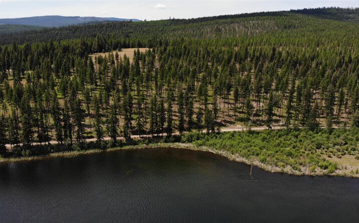 Pictures of Land property located at Commonly known as Tract 2 Old Railroad Grade Road in SWSW, Libby, MT 59923 for sales - image #1