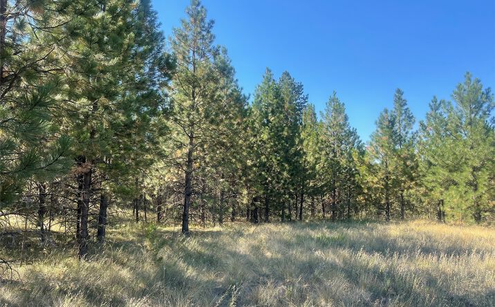 Pictures of Land property located at Lot 55 Jette Meadow Road, Polson, MT 59860 for sales - image #1