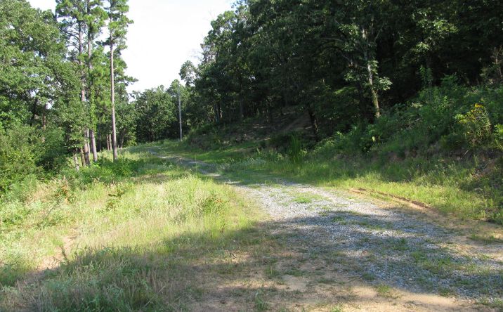 Pictures of Land property located at 62 Private Road, Clayton, OK 74536 for sales - image #1