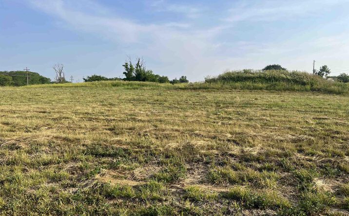 Pictures of Land property located at LOT 12 Pin Oaks Ln, Mount Pleasant, IA 52641 for sales - image #1
