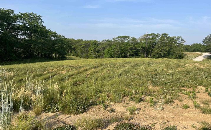 Pictures of Land property located at LOT 14 Pin Oaks Ln, Mount Pleasant, IA 52641 for sales - image #1