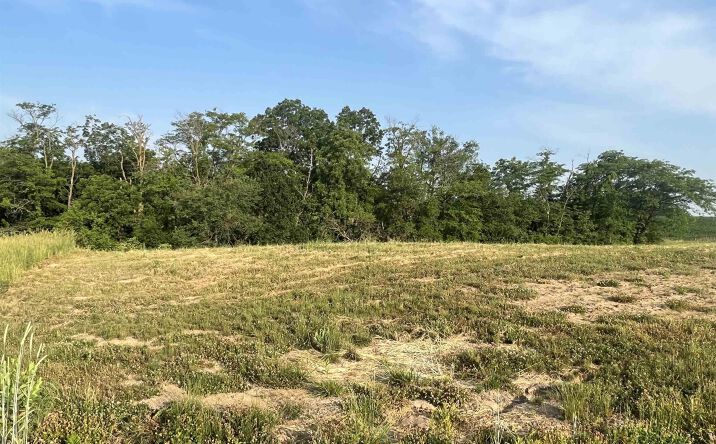 Pictures of Land property located at LOT 7 Pin Oaks Ln, Mount Pleasant, IA 52641 for sales - image #1
