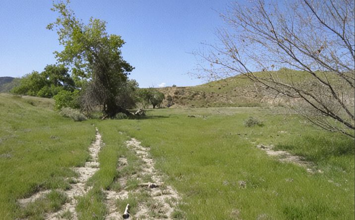Pictures of Land property located at Hwy 198, Coalinga, CA 93210 for sales - image #1