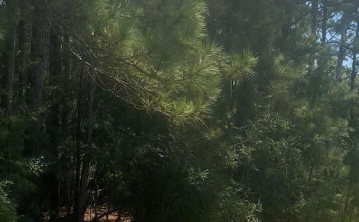 Pictures of Land, Special Purpose property located at NHN Mint Julep Airpark, Perkinston, MS 39573 for sales - image #1
