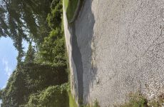 26675444