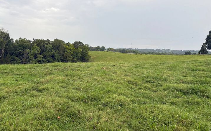 Pictures of Land property located at 0 Keltnertown Rd, Columbia, KY 42728 for sales - image #1