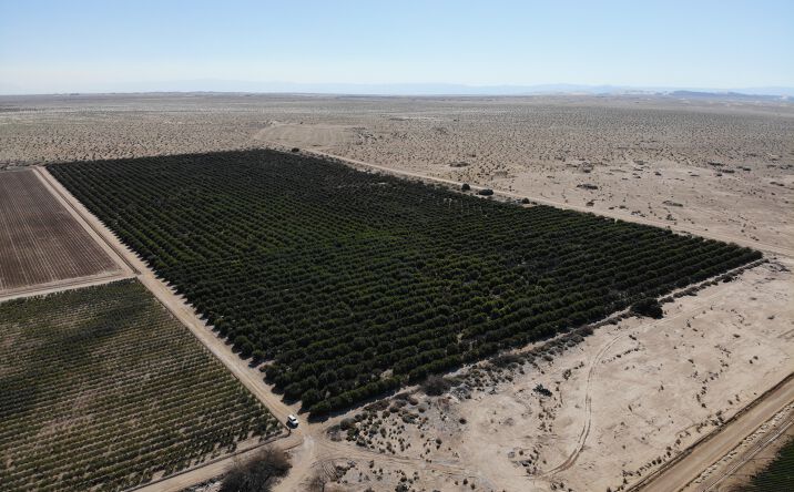 Pictures of Land property located at SWC of Garvey Road & Andre Road, Brawley, CA 92227 for comps - image #1