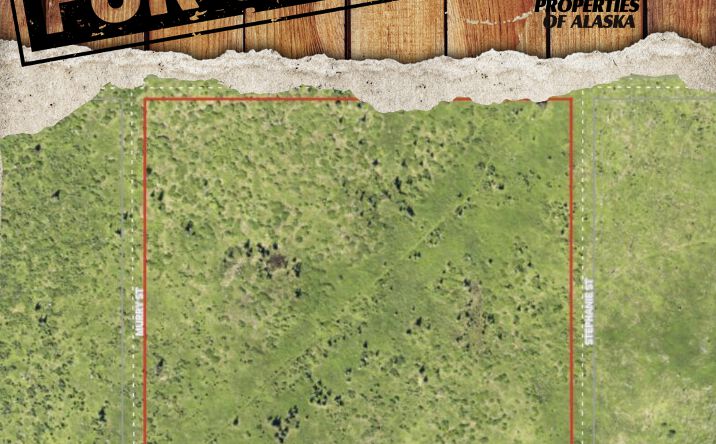 Pictures of Land property located at 54490 Christofferson Ave, Ninilchik, AK 99639 for sales - image #1