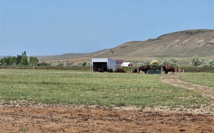 Pictures of Land, Mixed Use property located at 935 1st Avenue, Vaughn, MT 59487 for sales - image #1