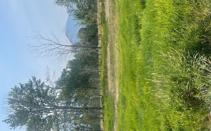 Pictures of Land property located at 659 Old Corvallis Road, Hamilton, MT 59840 for sales - image #1
